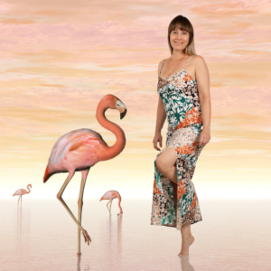 Flamingo